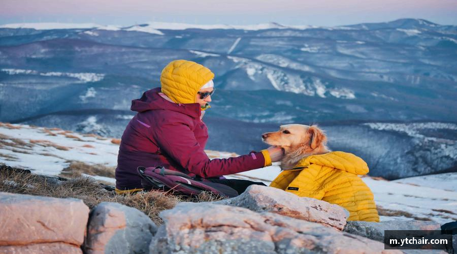 8868平台永不放弃，追寻梦想